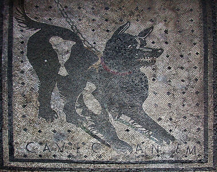 Pompeii - Cave Canem (4786638740)