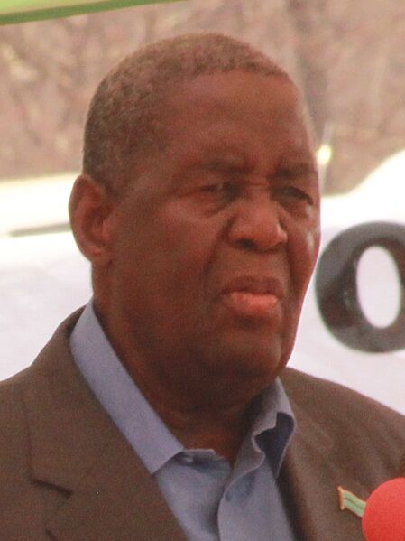 Ponatshego Kedikilwe (cropped 3x4)