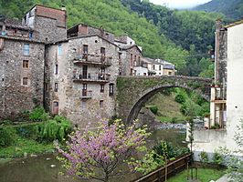 Vista del puente viejo