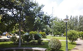 Pontevedra capital Parque de Campolongo