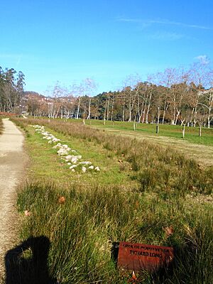 Archivo:Pontevedra capital Pontevedra Line Richard Long
