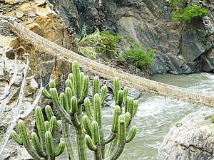 Archivo:Puente Inca Pucayaku 2