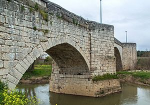 Archivo:Puente de Puente Duero