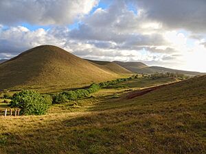 Archivo:Rapa-Nui-Landscape