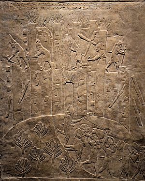 Archivo:Relief depicting the destruction of Hamanu of Elam by Ashurbanipal, 645-640 BC, North Palace, Nineveh, Exhibition- I am Ashurbanipal king of the world, king of Assyria, British Museum