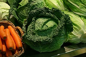 Archivo:Repollo y verduras-La Cebada