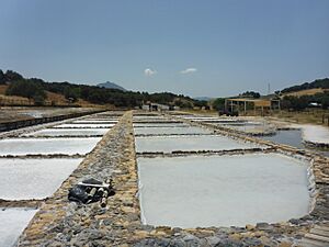 Archivo:Salinas Iptuci - P1360908