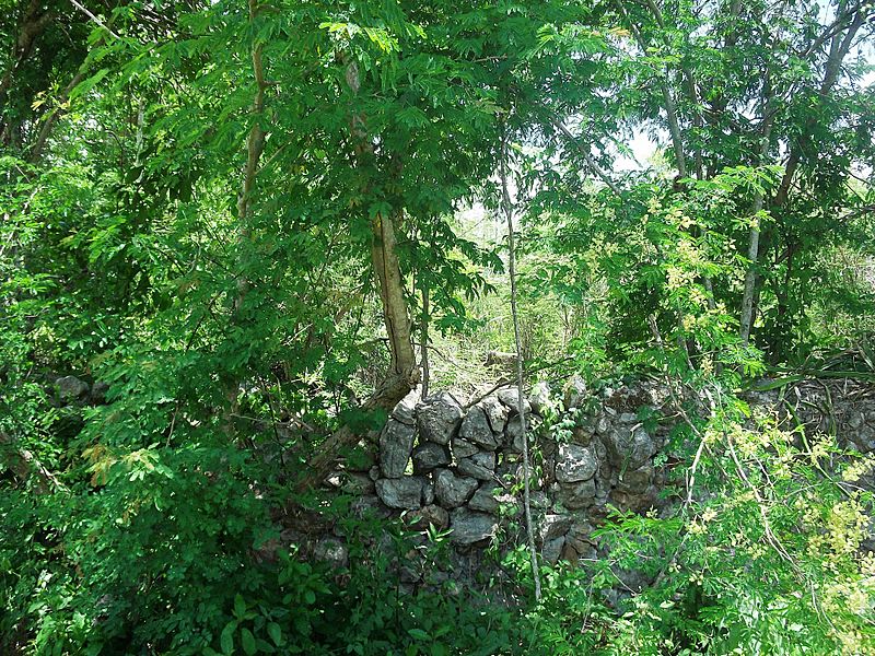 San José (Tixpéhual), Yucatán (03)