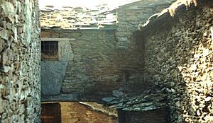 Archivo:Sanestebanbuitres