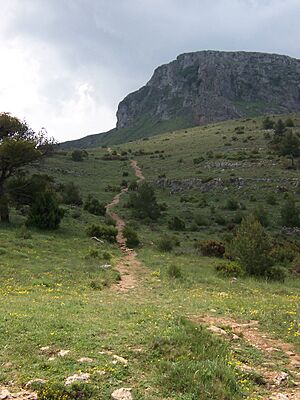 Archivo:Senda hacia el Montcabrer