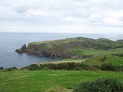 St Abbs Head from the NW.jpg