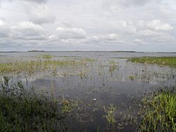 Archivo:Svyatoe Lake (Vladimir Oblast)