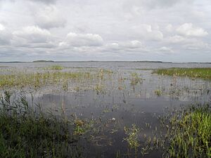 Archivo:Svyatoe Lake (Vladimir Oblast)