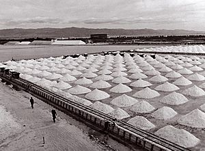 Archivo:The salt pans, the oldest resource of the Cagliari