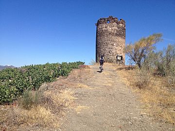 Torre de la Atalaya (7719659958)