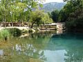 Tuejar azud lago