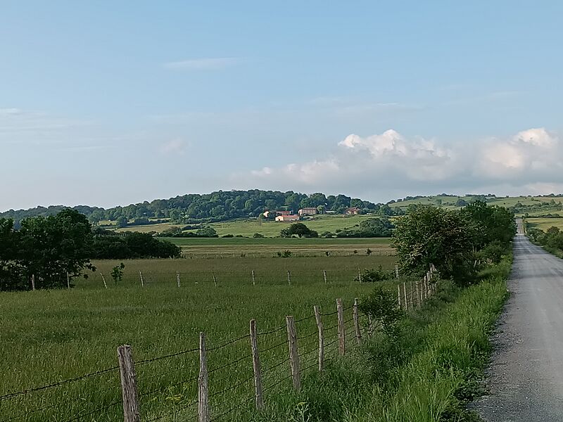 Uzkiano urkabustaiz