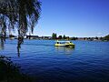 Valdivia lago