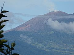 Volcan Turrialba vegetacion dañada