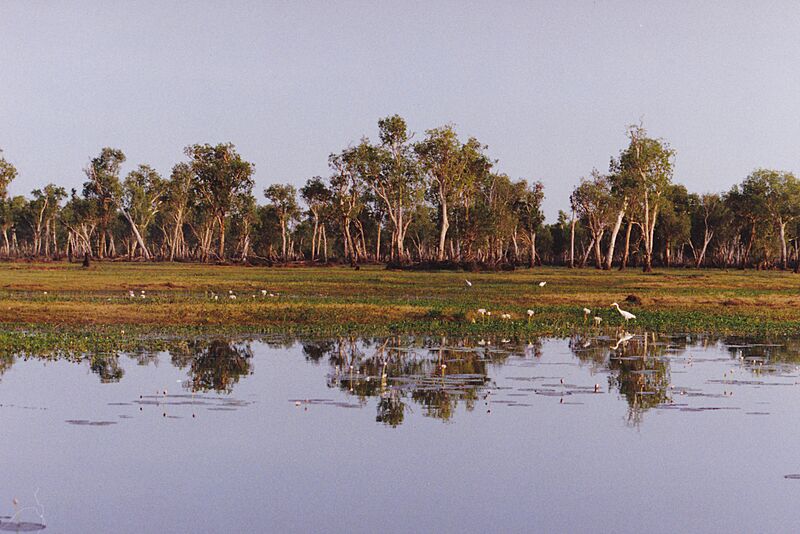 Yellow Waters (8602004999)