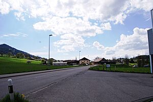 Archivo:2013-05-07 Friburgo (Foto Dietrich Michael Weidmann) 126