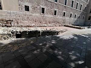 Archivo:20220510 110235 Alcazarejo Valladolid