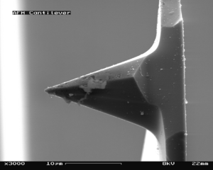 Archivo:AFM (used) cantilever in Scanning Electron Microscope, magnification 3000x