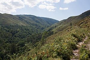 Archivo:A Cañiza, Pontevedra, Spain - panoramio (8)
