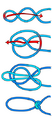 Alpine butterfly knot diagram
