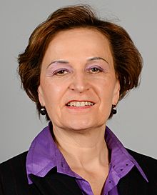 anneli-j-tteenm-ki-para-ni-os