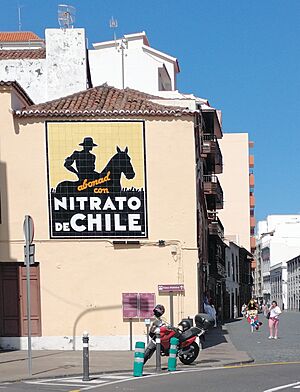 Archivo:Antigua publicidad en Santa Cruz de La Palma. "Abonad con Nitrato de Chile". Canarias, España, Spain