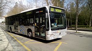 Archivo:Autobús de la línea 10 saliendo desde la parada de Catedral, la más cercana al templo