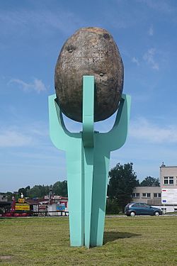 Archivo:Biesiekierz Potato monument 2008-07