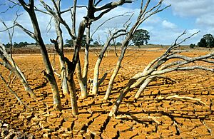 Archivo:CSIRO ScienceImage 4507 Dry bed of the tailings dam at the Brukunga Pyrite Mine east of Adelaide in the Mount Lofty Ranges South Australia 1992