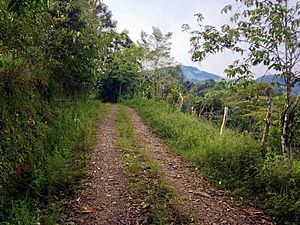 Archivo:Caminos rurales