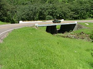 Archivo:Carretera en Yecora, Sonora