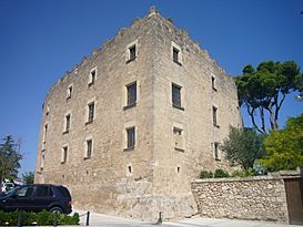 Castell de la Torre de Claramunt 1.jpg