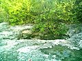Cenote de Sierra Papacal, Yucatán (06)