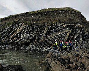 Archivo:Chevron folds, Ireland