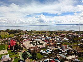 Chucuito Titicaca Aerial.jpg