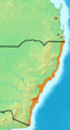 Eastern Bristlebird