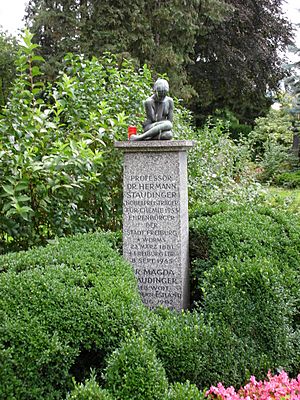 Archivo:FR Hauptfriedhof Staudinger