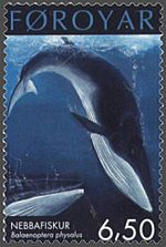 Archivo:Faroe stamp 401 fin whale (Balaenoptera physalus)