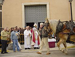Archivo:Festa de Sant Antoni a Beniopa