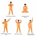 Five Exercises of Falun Dafa