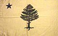 Flag of Maine (1901–1909)