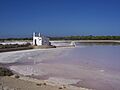 Formentera ses salines2394