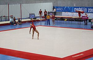 Archivo:IXJSM2010