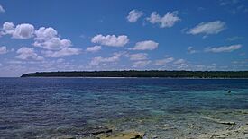 Jaco Island.jpg