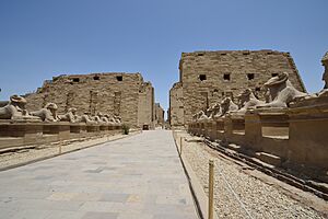 Archivo:Karnak temple complex 8
